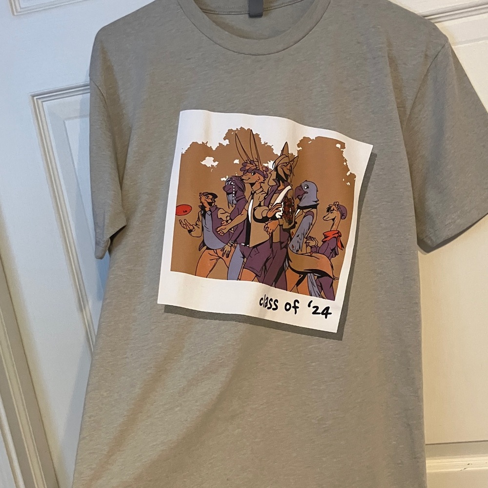 Next Level Apparel Gray Graphic Tee
